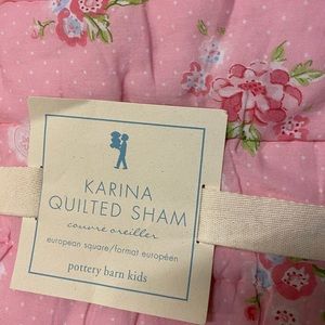 Pottery Barn Karina Euro Sham